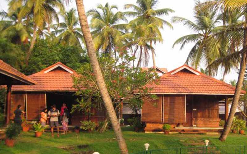 nalanda gokulam resort cottage room